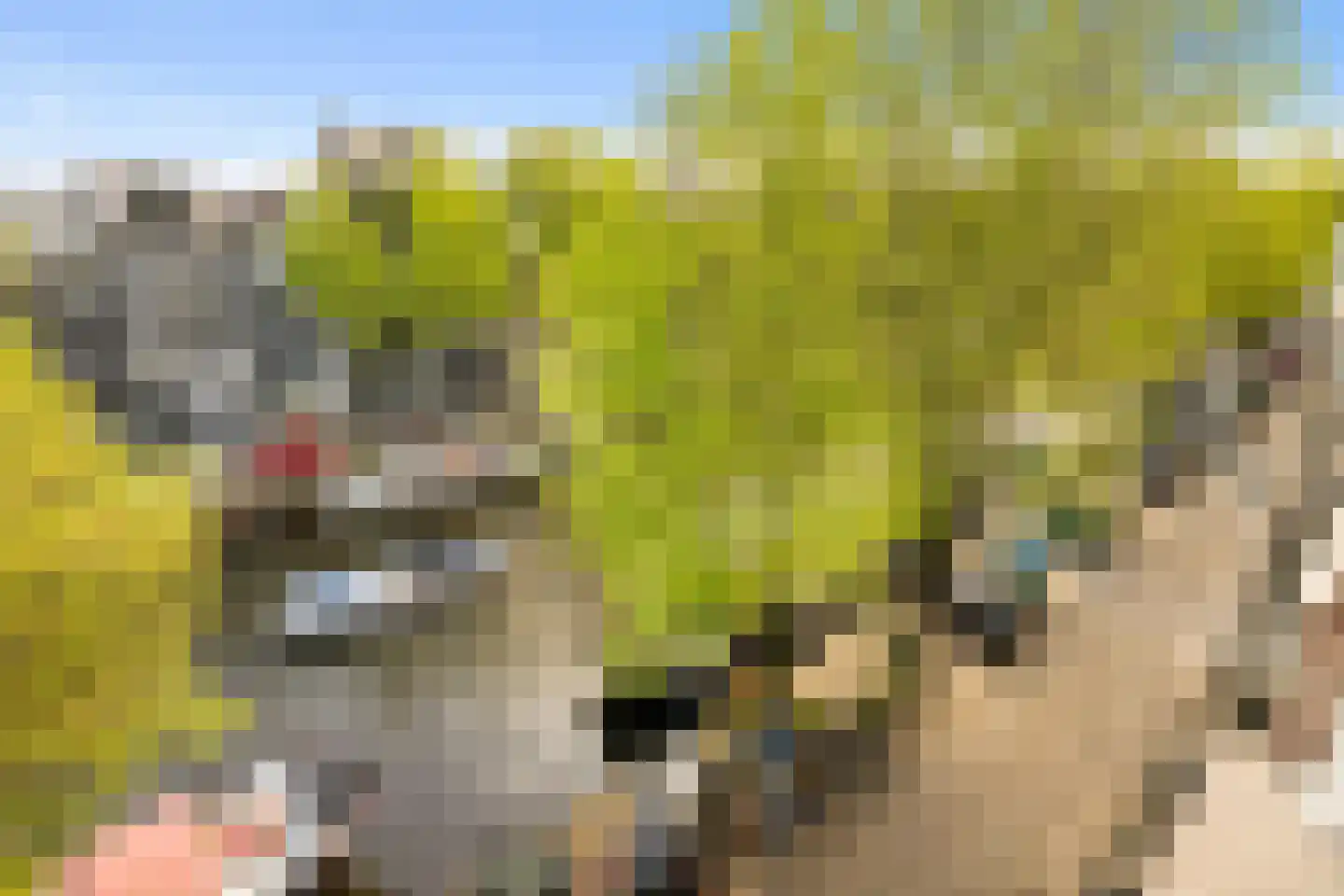 Prinsengracht 989 Amsterdam thumbnail 55