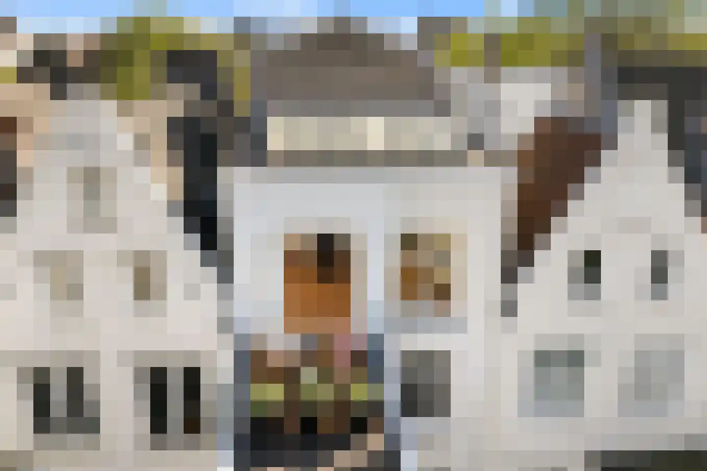 Prinsengracht 989 Amsterdam thumbnail 56