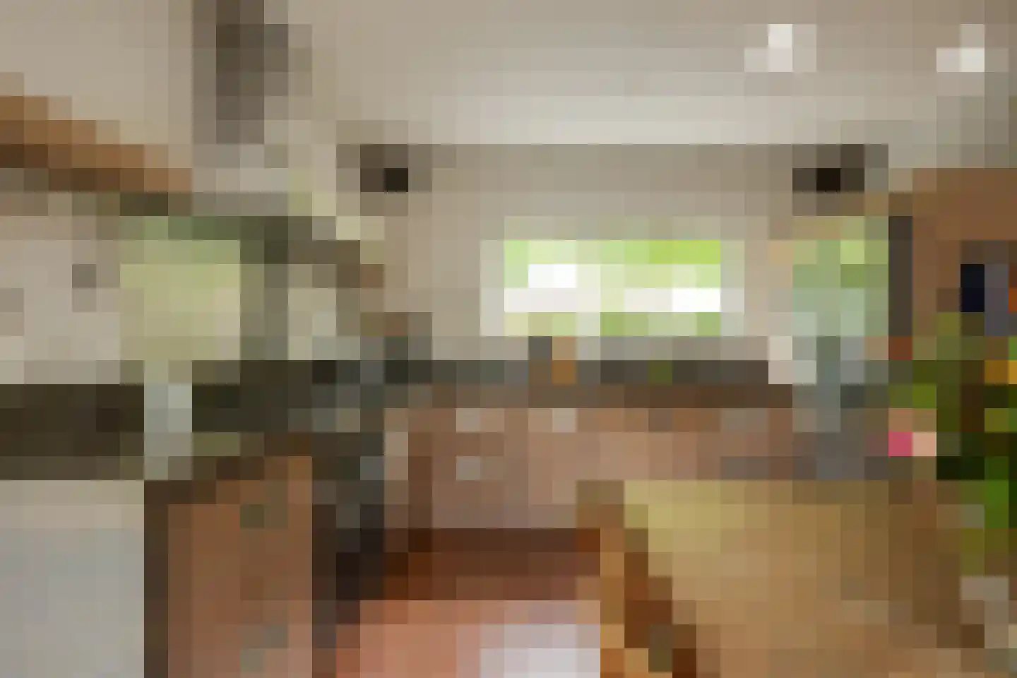 Prinsenhage 12 Vught thumbnail 25