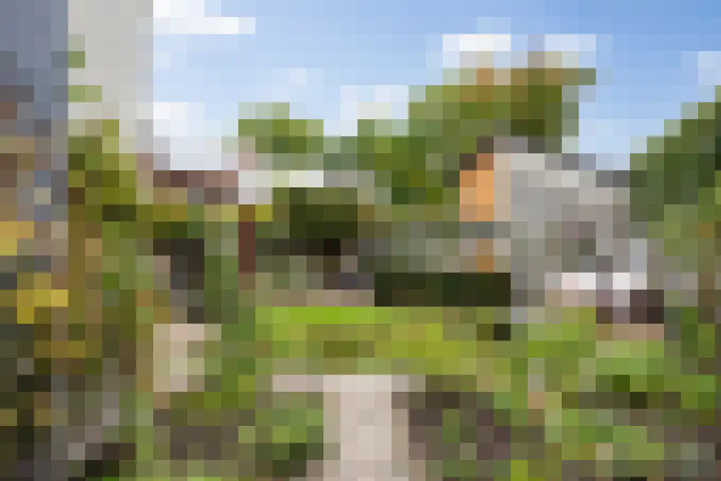 Prinsenhage 12 Vught thumbnail 51