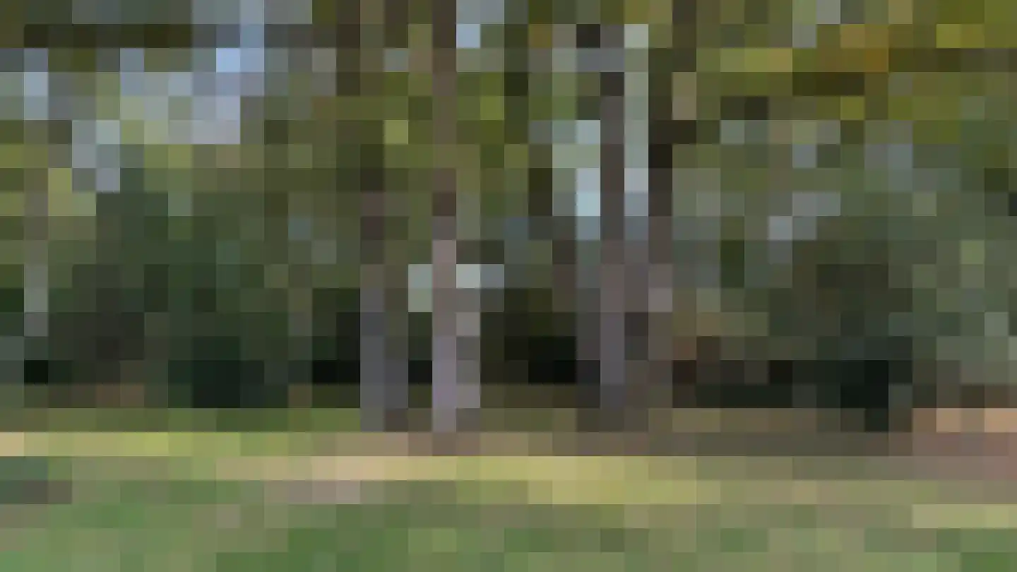 Prinsenhage 12 Vught thumbnail 56