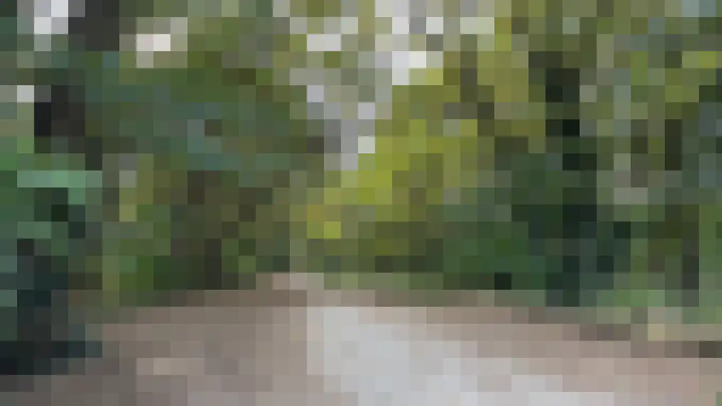 Prinsenhage 12 Vught thumbnail 57