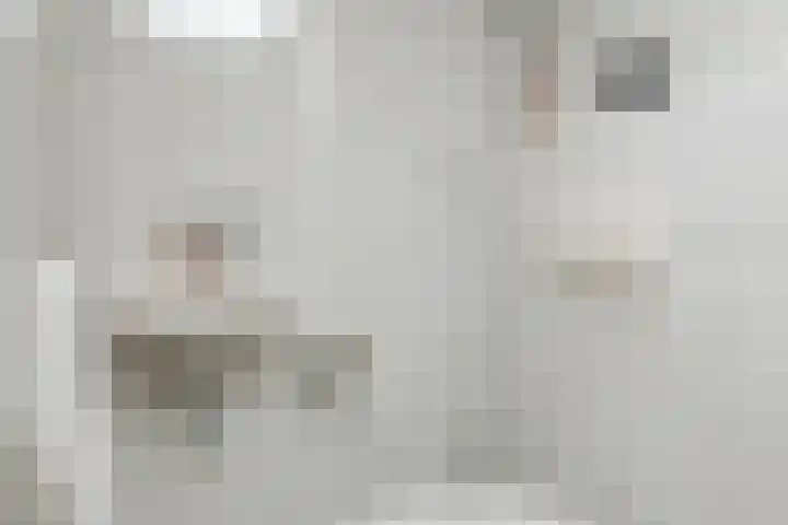 Prinsenhage 35 Vught thumbnail 10