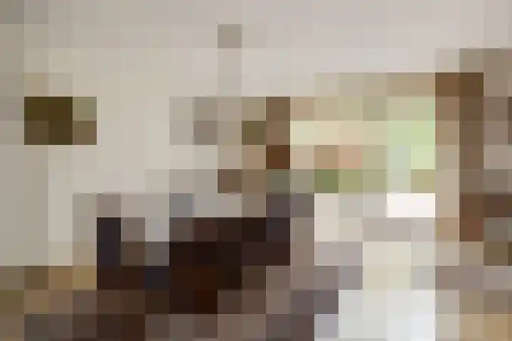 Prinsenhage 35 Vught thumbnail 17