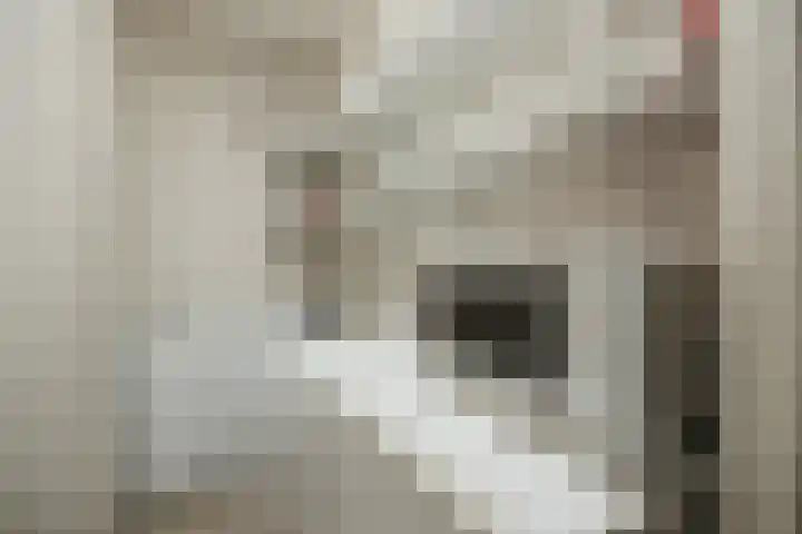 Prinsenhage 35 Vught thumbnail 20