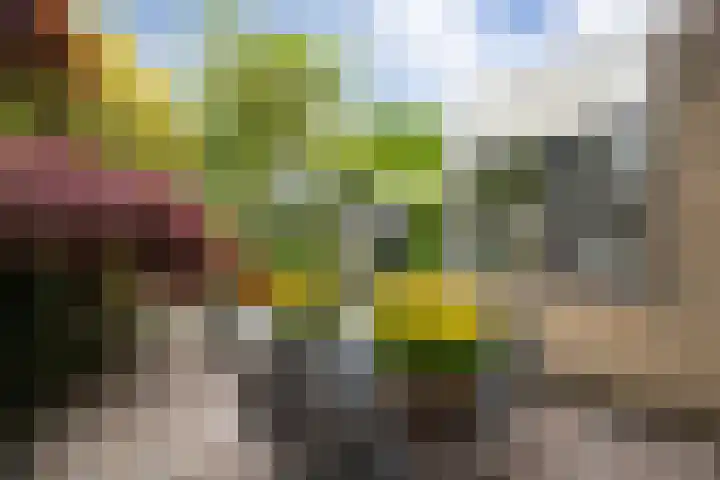Prinsenhage 35 Vught thumbnail 25