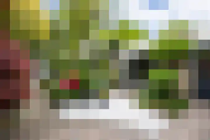 Prinsenhage 35 Vught thumbnail 26
