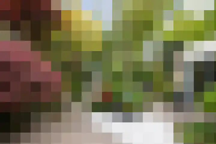 Prinsenhage 35 Vught thumbnail 27