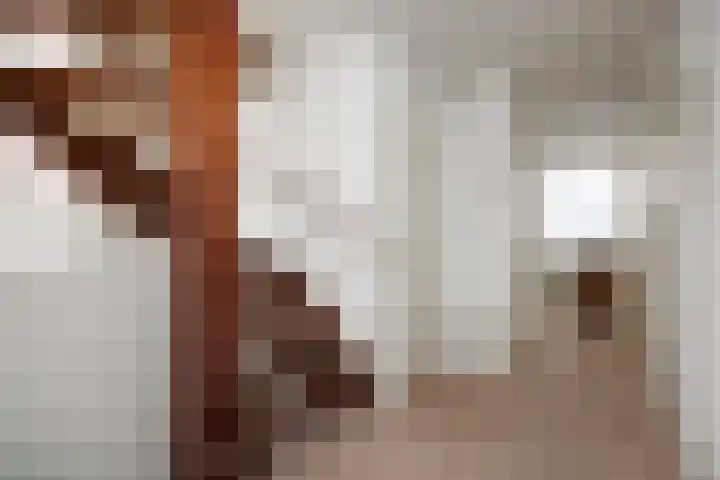 Prinsenhage 35 Vught thumbnail 28