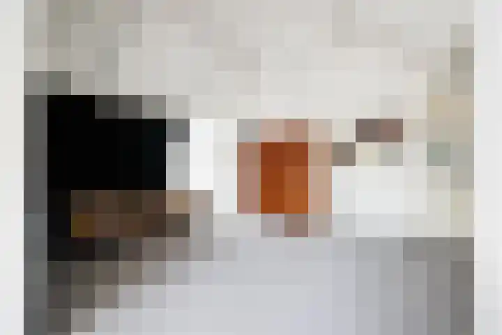 Prinsenhage 35 Vught thumbnail 36