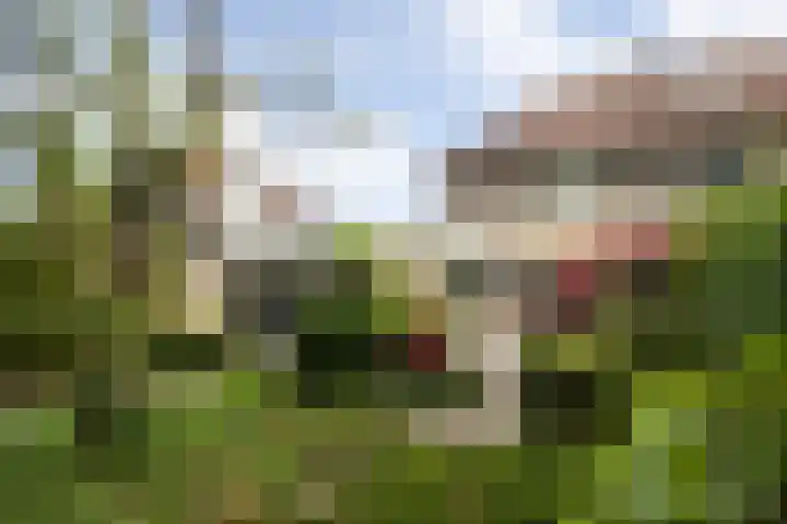 Prinsenhage 35 Vught thumbnail 38