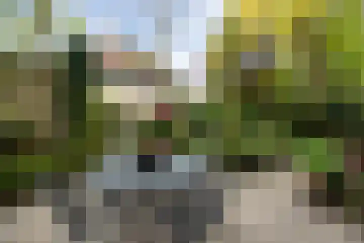 Prinsenhage 35 Vught thumbnail 39