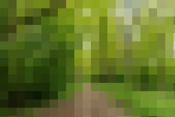 Prinsenhage 35 Vught thumbnail 41