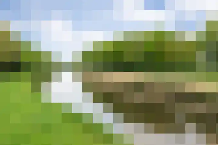 Prinsenhage 35 Vught thumbnail 42
