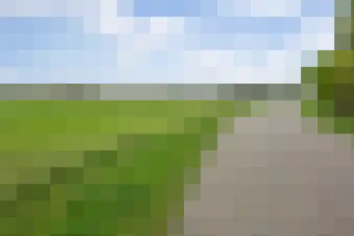 Prinsenhage 35 Vught thumbnail 43
