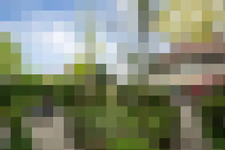 Prinsenhage 35 Vught thumbnail 45