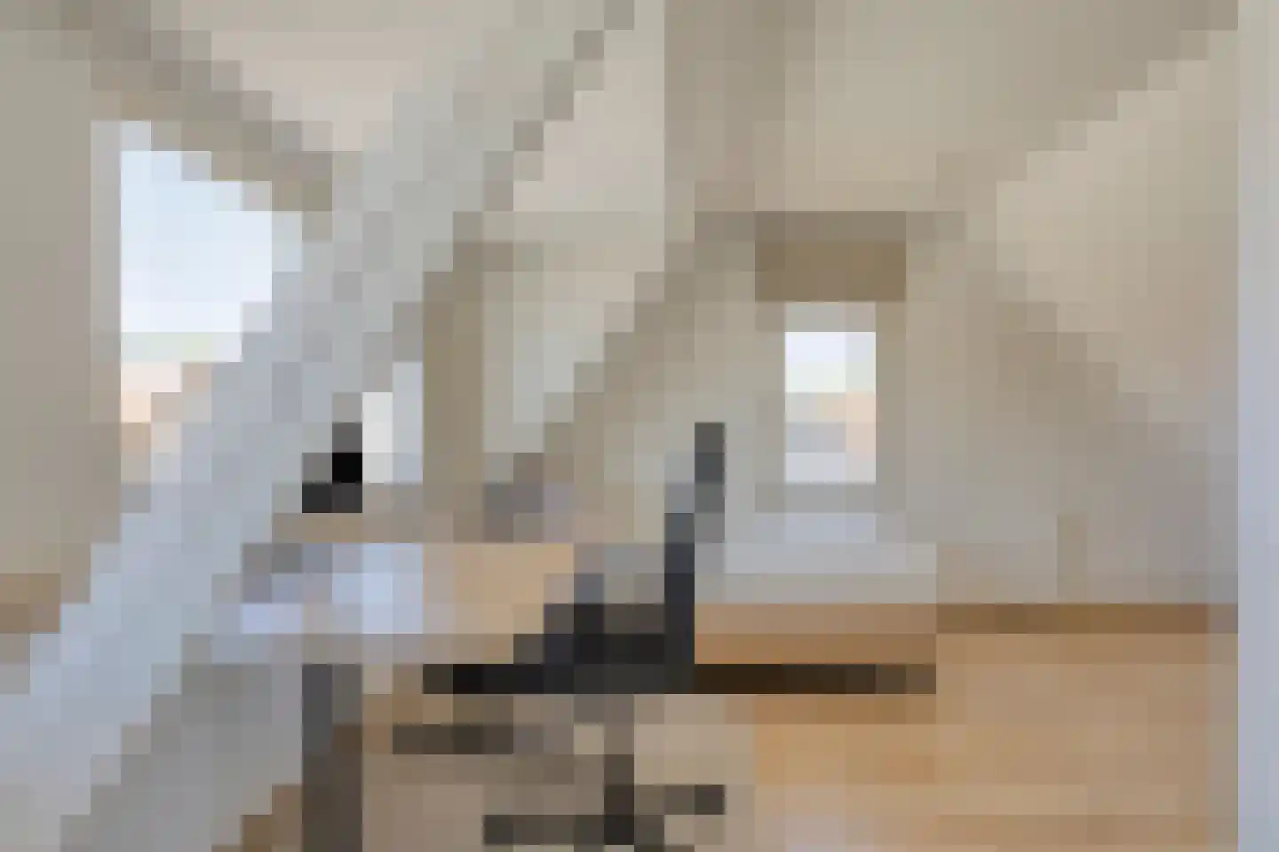 Prinsenhoeven 13 Tilburg thumbnail 35