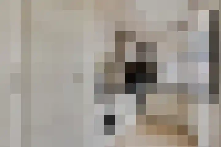 Prinsenhof 1 Pijnacker thumbnail 11