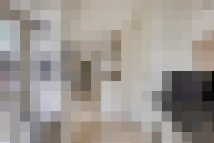 Prinsenhof 1 Pijnacker thumbnail 12