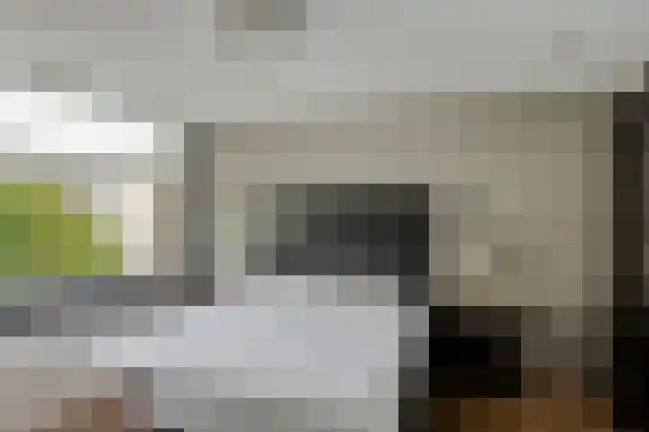 Prinsenhof 1 Pijnacker thumbnail 17