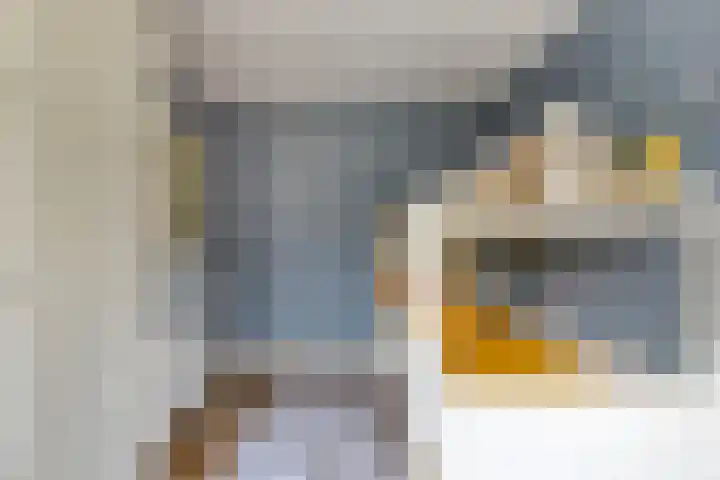 Prinsenhof 1 Pijnacker thumbnail 22