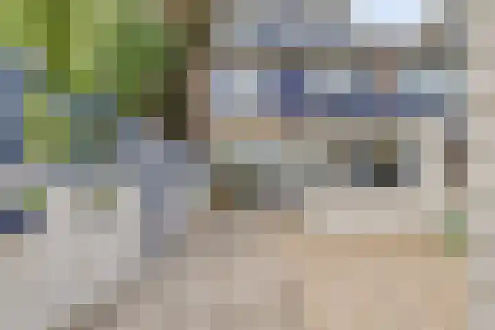 Prinsenhof 1 Pijnacker thumbnail 30