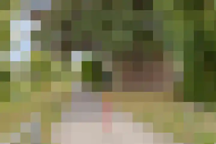 Prinsenhof 1 Pijnacker thumbnail 32