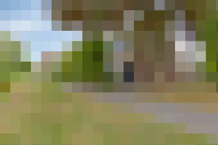 Prinsenhof 1 Pijnacker thumbnail 6