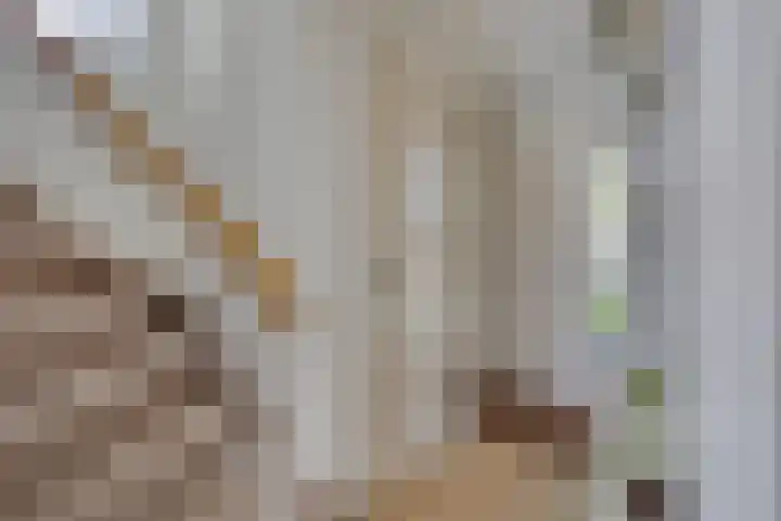 Prinsenhof 1 Pijnacker thumbnail 9
