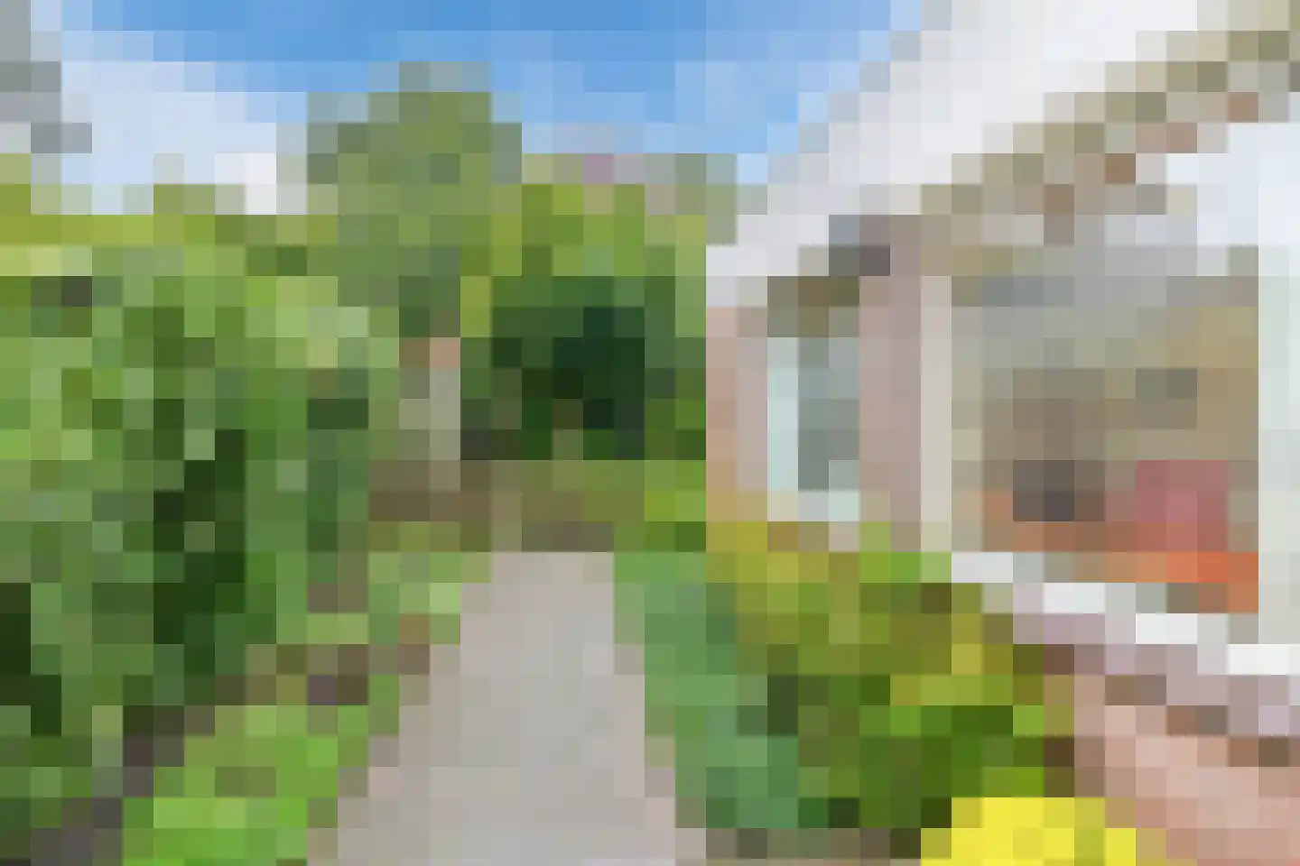 Prinsenhof 10 Harmelen thumbnail 13