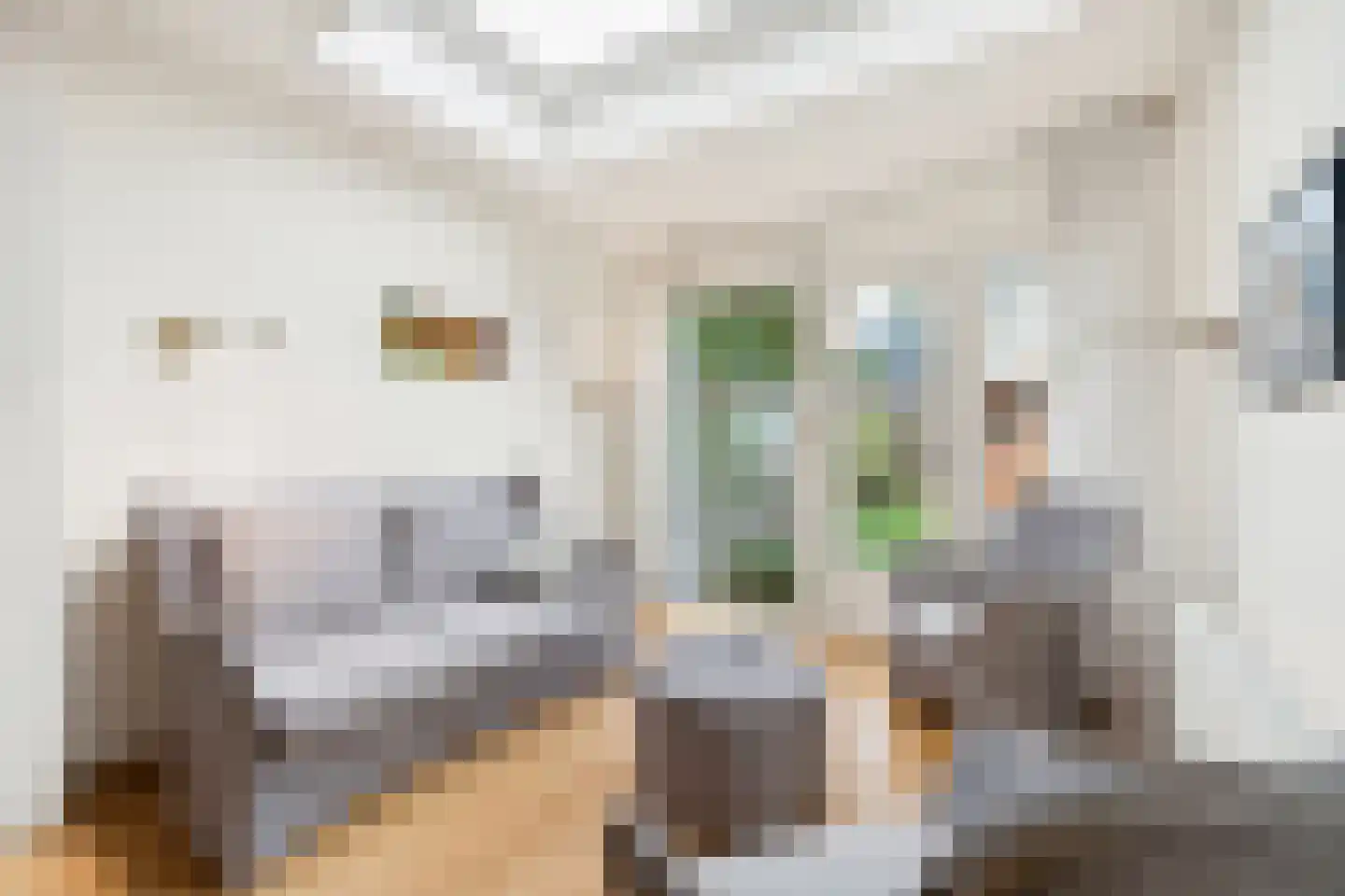 Prinsenhof 10 Harmelen thumbnail 26