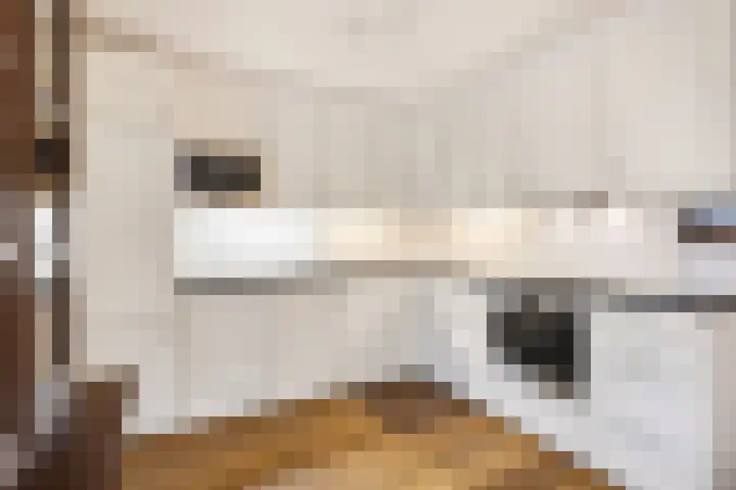 Prinsenhof 10 Harmelen thumbnail 5