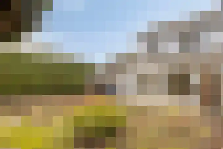 Prinsenhof 12 Soest thumbnail 29