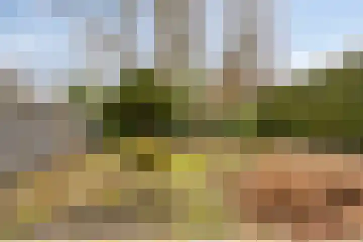 Prinsenhof 12 Soest thumbnail 30