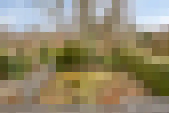 Prinsenhof 12 Soest thumbnail 31