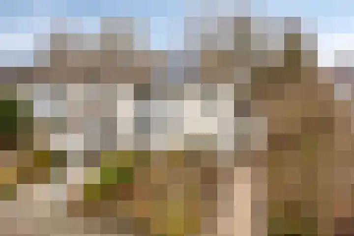 Prinsenhof 12 Soest thumbnail 33