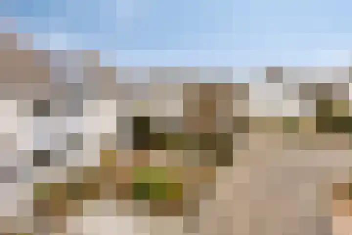 Prinsenhof 12 Soest thumbnail 34
