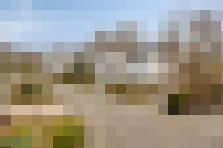 Prinsenhof 12 Soest thumbnail 35