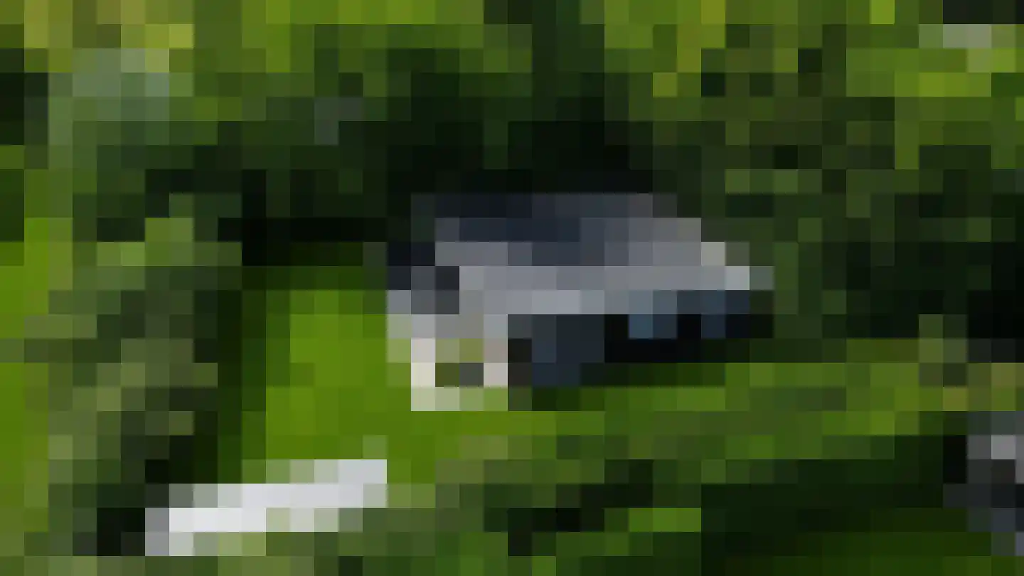 Prinsenhof 13 Ouddorp thumbnail 23