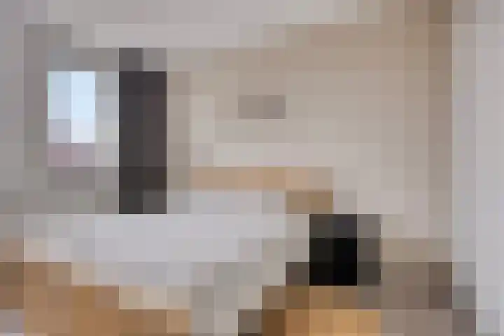 Prinsenhof 17 Chaam thumbnail 11