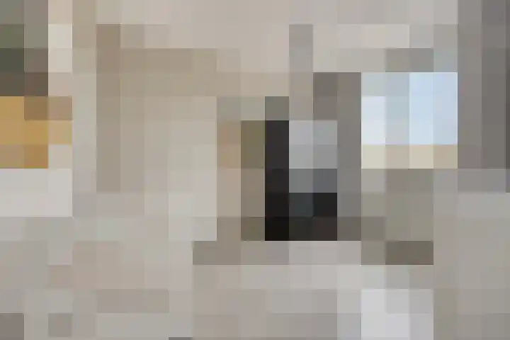Prinsenhof 17 Chaam thumbnail 12