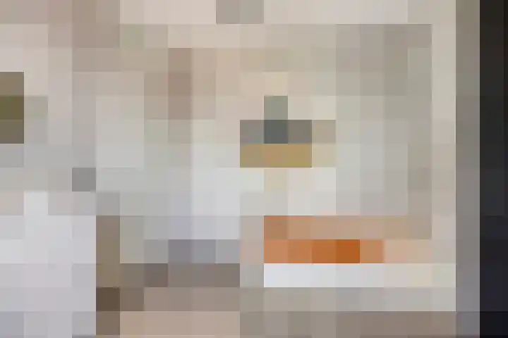 Prinsenhof 17 Chaam thumbnail 13
