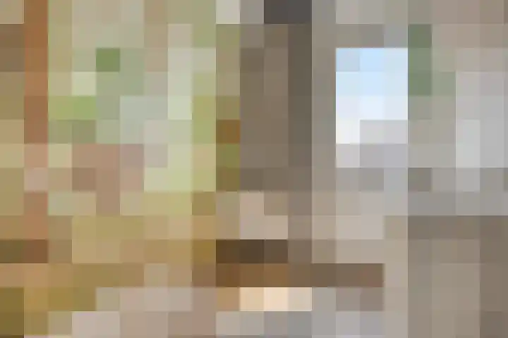Prinsenhof 17 Chaam thumbnail 14