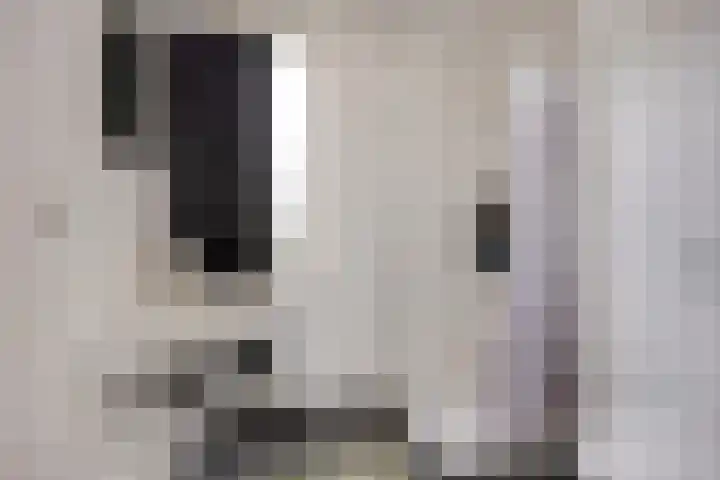 Prinsenhof 17 Chaam thumbnail 15