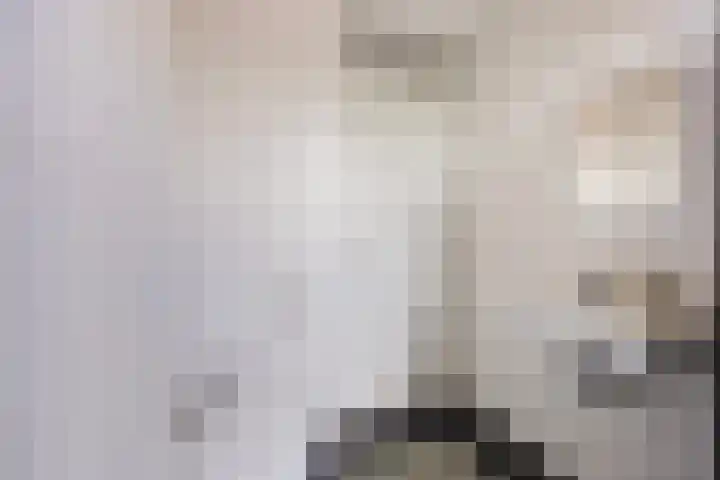 Prinsenhof 17 Chaam thumbnail 16