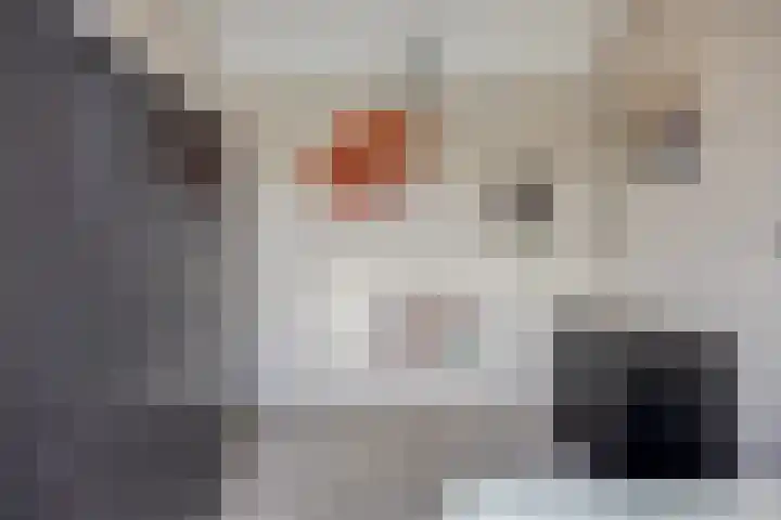 Prinsenhof 17 Chaam thumbnail 19