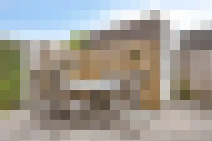 Prinsenhof 17 Chaam thumbnail 22