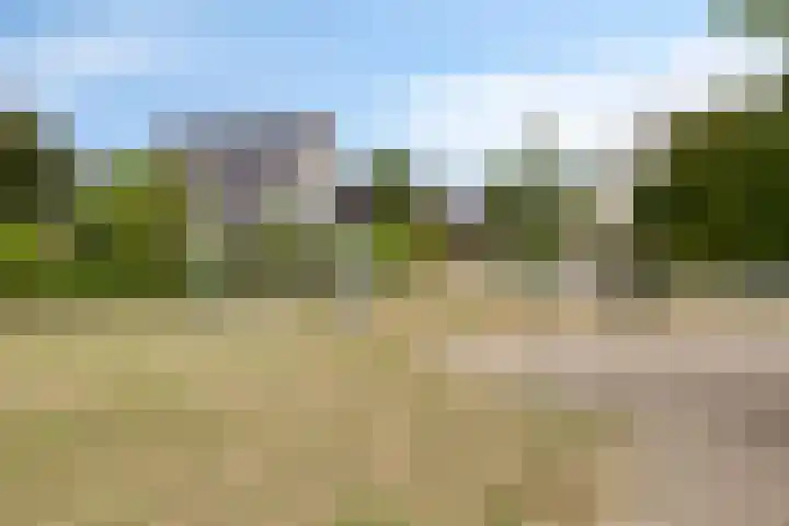 Prinsenhof 17 Chaam thumbnail 27
