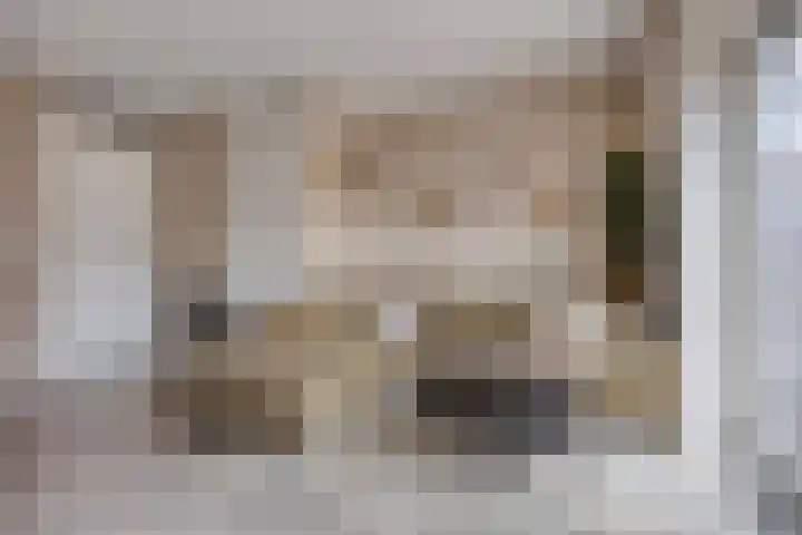 Prinsenhof 17 Chaam thumbnail 4