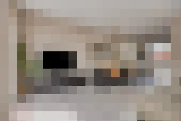 Prinsenhof 17 Chaam thumbnail 5